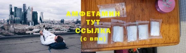 прущие грибы Зеленодольск