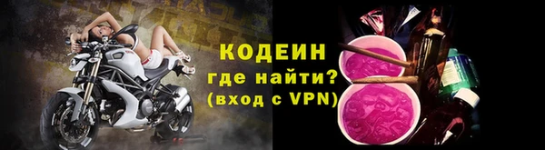 прущие грибы Зеленодольск