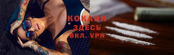 прущие грибы Зеленодольск