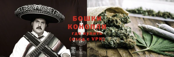 прущие грибы Зеленодольск