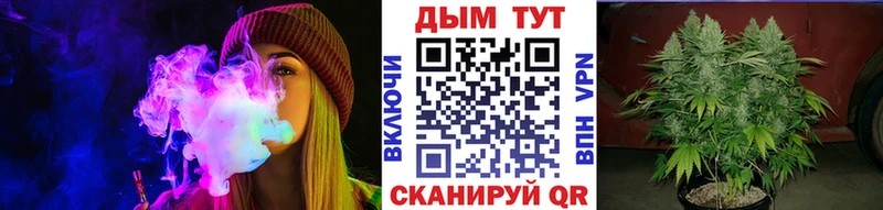 Купить закладки  Дорогобуж  Бошки марихуана гибрид 